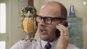 Make a wise call with EnergyAustralia